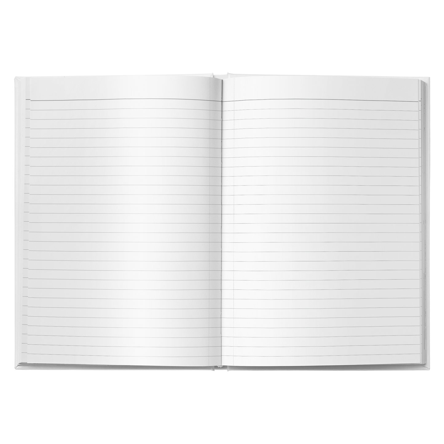 Skyward Tours Journal