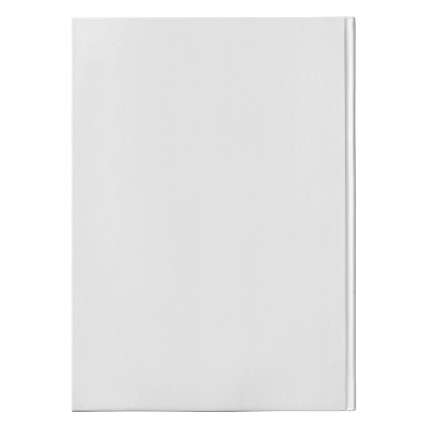 Skyward Tours Journal